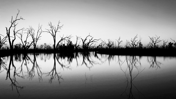 B W Lake Sunset by Lexa Harpell